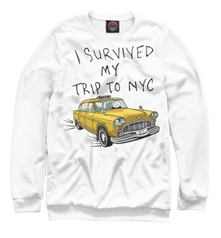 I survived my trip to NY city