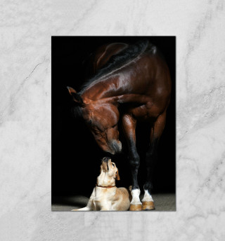 Плакат Лошадь и пес