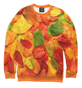 Мужской Свитшот Осенние листья