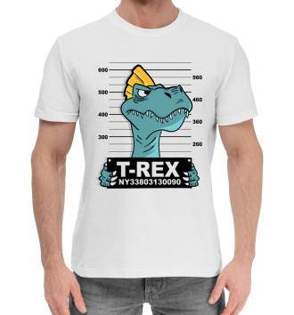 Мужская Хлопковая футболка Динозавр