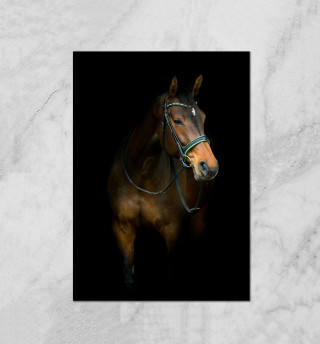 Плакат Лошадь