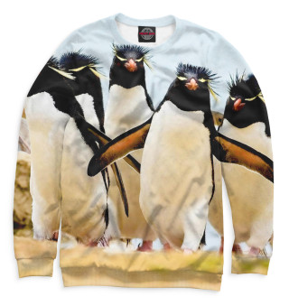 Хохлатые пингвины