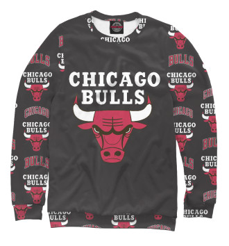 Мужской Свитшот Chicago bulls