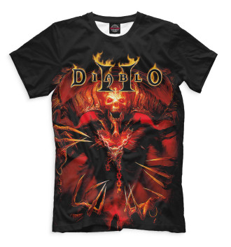 Мужская Футболка Diablo II