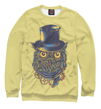 Мужской Свитшот Steampunk Owl