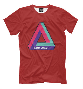 Мужская футболка Palace triangle