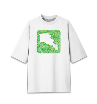 Мужская Хлопковая футболка оверсайз Армения