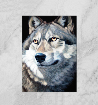 Плакат Волк Вожак