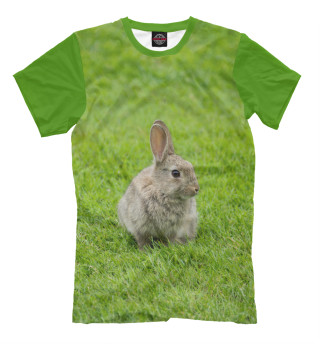 Кролик на поляне