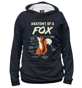 Женское Худи Anatomy Of A Fox