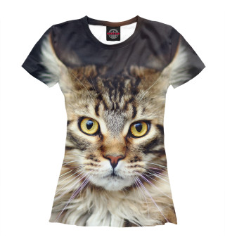 Женская футболка Пушистый кот