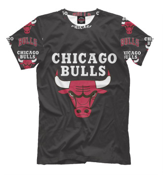 Мужская Футболка Chicago bulls