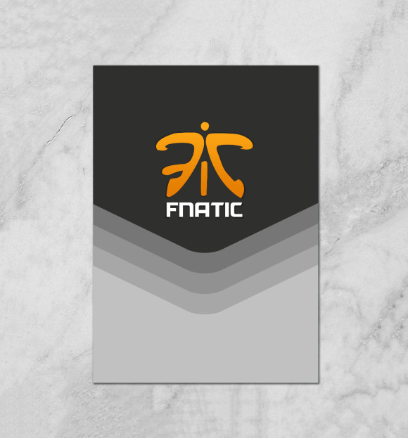 Плакат с изображением Fnatic Team цвета Белый