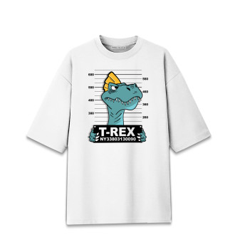 Мужская Хлопковая футболка оверсайз Динозавр
