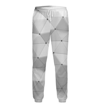 Мужские Спортивные штаны 3D pattern / Vanguard