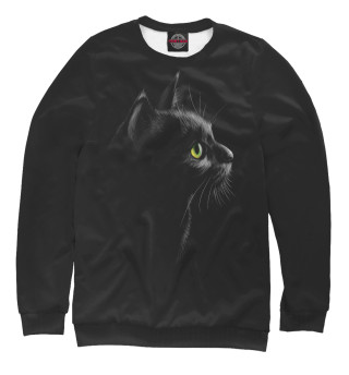 Мужской свитшот Черный кот на черном фоне